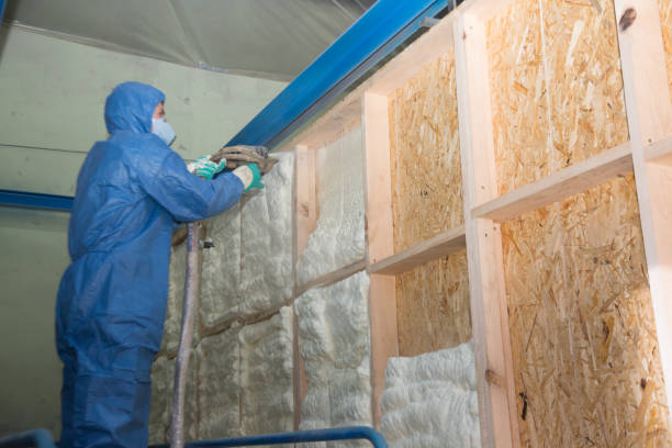 Best Insulation Inspection Services  in Mattydale, NY